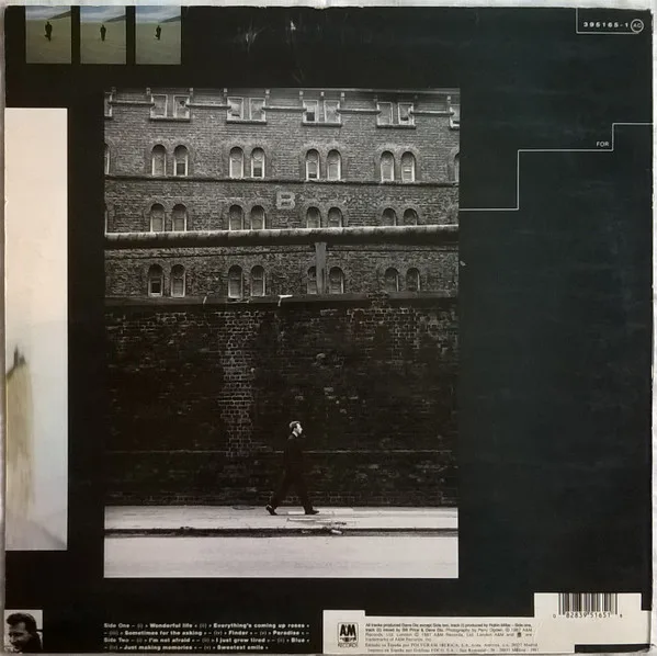 Black, Wonderful Life - LP