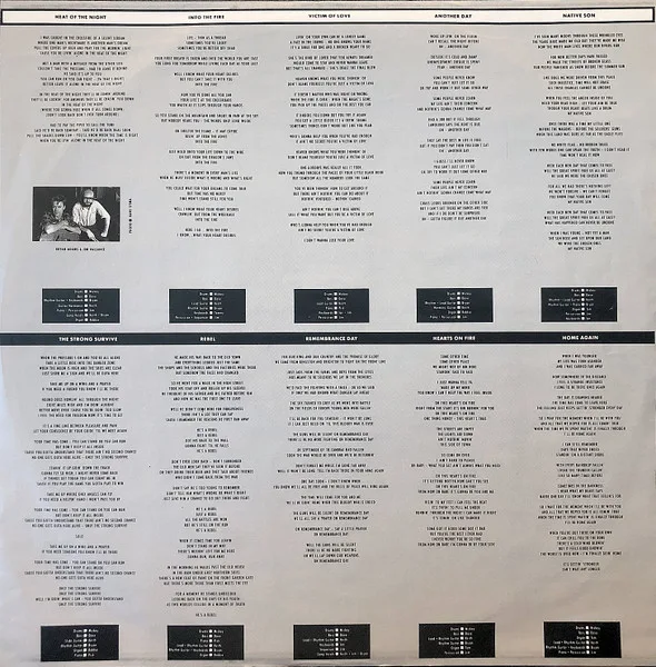 Bryan Adams, Into The Fire - LP