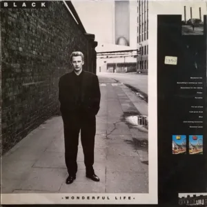 Black, Wonderful Life - LP