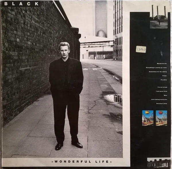 Black, Wonderful Life - LP