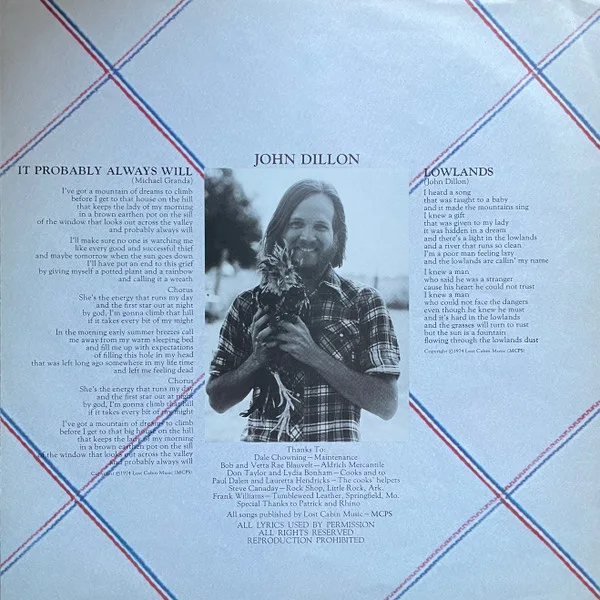 Ozark Mountain Daredevils, It' Ll Shine When It Shines - LP