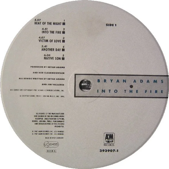 Bryan Adams, Into The Fire - LP