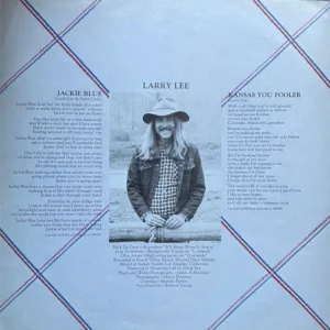 Ozark Mountain Daredevils, It' Ll Shine When It Shines - LP: imagen 7