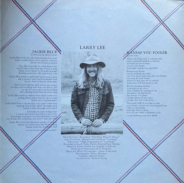 Ozark Mountain Daredevils, It' Ll Shine When It Shines - LP