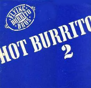 Flying Burrito Bros, Hot Burrito 2 - LP