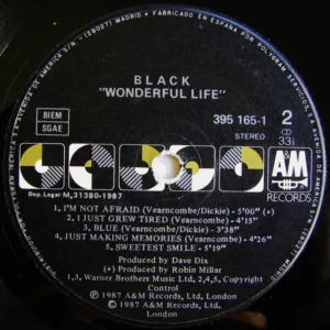 Black, Wonderful Life - LP: imagen 4