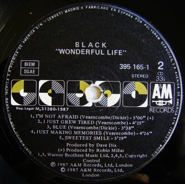 Black, Wonderful Life - LP