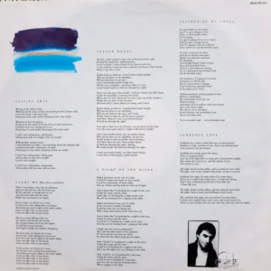 Chris De Burgh, Flying Colours - LP: imagen 5