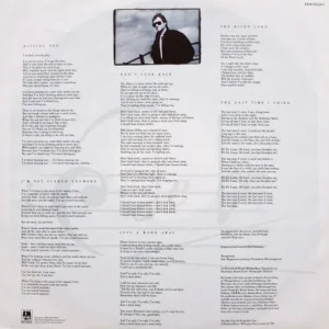 Chris De Burgh, Flying Colours - LP: imagen 6