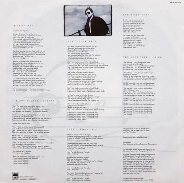 Chris De Burgh, Flying Colours - LP