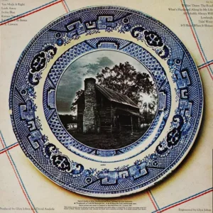 Ozark Mountain Daredevils, It' Ll Shine When It Shines - LP: imagen 2