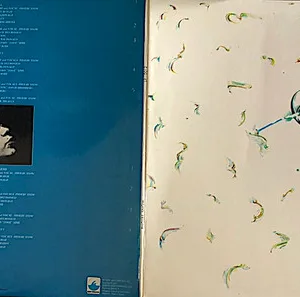Phoebe Snow, Phoebe Snow - LP