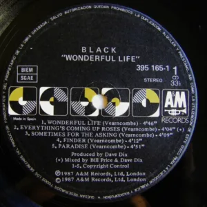 Black, Wonderful Life - LP: imagen 3