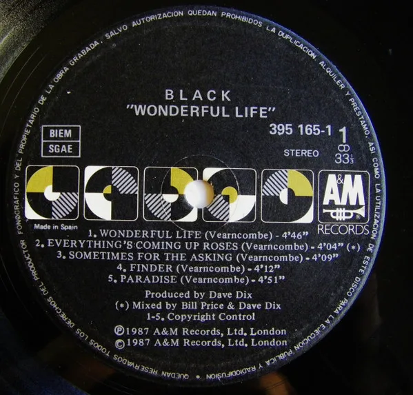 Black, Wonderful Life - LP